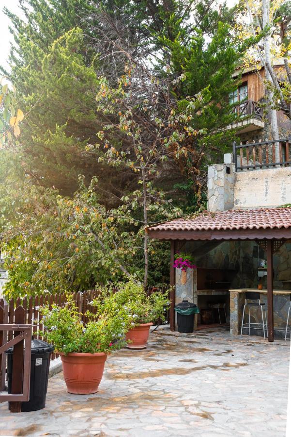 Pinecone Platres - 3 Units Apartment Exterior foto